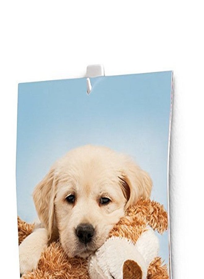 كوماند خطافات صغيرة Command 3M 17066Anz (أبيض، 3 خطافات و4 شرائط) - عبوة من 3 قطع - Image 2